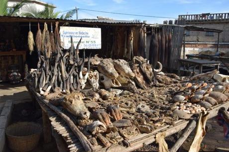 Backpacking in Togo: Touring the World’s Largest Voodoo Market in Akodessawa, Lomé Backpacking in Togo: Touring the World’s Largest Voodoo Market in Akodessawa, Lomé