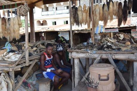 Backpacking in Togo: Touring the World’s Largest Voodoo Market in Akodessawa, Lomé Backpacking in Togo: Touring the World’s Largest Voodoo Market in Akodessawa, Lomé