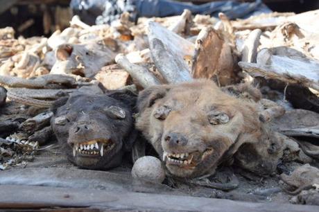 Backpacking in Togo: Touring the World’s Largest Voodoo Market in Akodessawa, Lomé Backpacking in Togo: Touring the World’s Largest Voodoo Market in Akodessawa, Lomé