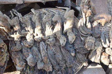 Backpacking in Togo: Touring the World’s Largest Voodoo Market in Akodessawa, Lomé Backpacking in Togo: Touring the World’s Largest Voodoo Market in Akodessawa, Lomé