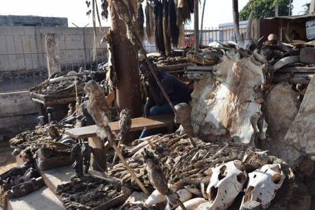 Backpacking in Togo: Touring the World’s Largest Voodoo Market in Akodessawa, Lomé Backpacking in Togo: Touring the World’s Largest Voodoo Market in Akodessawa, Lomé