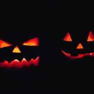 5 Ways To Enjoy Halloween As An Adult
