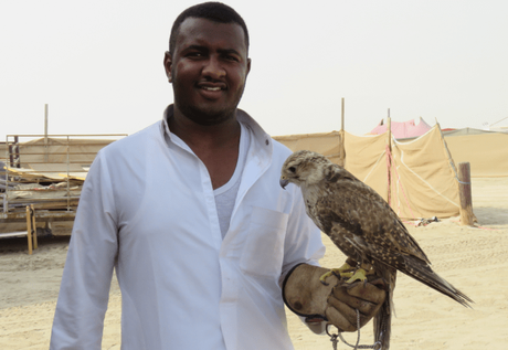 Falcons, Falconry and Falcon souq – a unique experience in Doha, Qatar