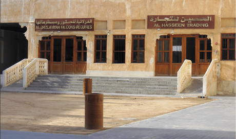 Falcons, Falconry and Falcon souq – a unique experience in Doha, Qatar