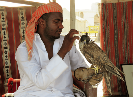 Falcons, Falconry and Falcon souq – a unique experience in Doha, Qatar