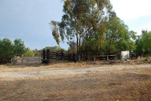 Writers on Location – Joy Rhoades on the New England Tableland, NSW, Australia Writers on Location – Joy Rhoades on the New England Tableland, NSW, Australia