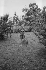 Writers on Location – Joy Rhoades on the New England Tableland, NSW, Australia Writers on Location – Joy Rhoades on the New England Tableland, NSW, Australia