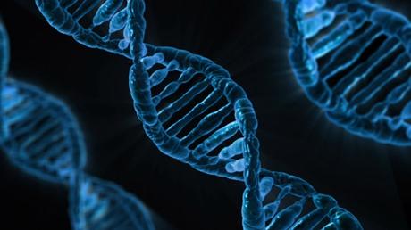 5 Things About Human Genome Project That Will Blow Your Mind Away