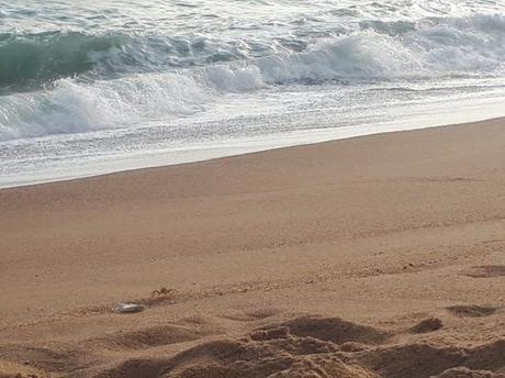 Backpacking in Benin: Top 8 Sights In Cotonou Backpacking in Benin: Top 8 Sights In Cotonou