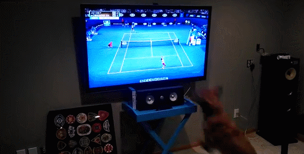 Life Lessons We Can All Learn From Tennis Life Lessons We Can All Learn From Tennis