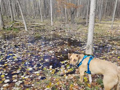 Birthday Weekend Hike