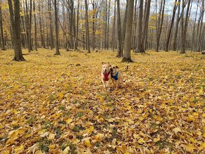 Birthday Weekend Hike