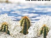 CRUSHWATER Cactus Storm