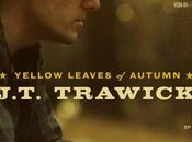 Trawick: Yellow Leaves Autumn