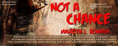 Not a Chance by Maureen L. Bonatch