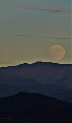 Moonrise-- Almost Hunter's Moon