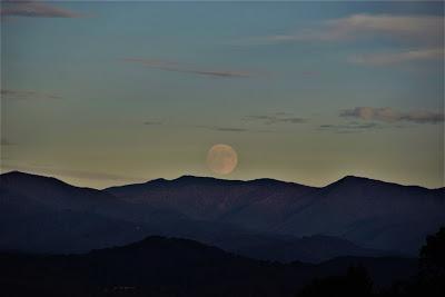 Moonrise-- Almost Hunter's Moon