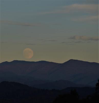 Moonrise-- Almost Hunter's Moon