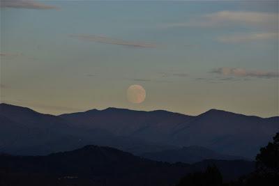 Moonrise-- Almost Hunter's Moon