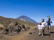 Visiting Tenerife Spain? Best Experiences Have Your Stay!