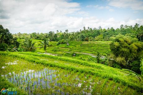 9 Directional Temples of Bali: 10 Day Itinerary