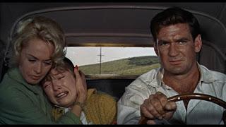 favorite movie #83 - halloween edition: the birds favorite movie #83 - halloween edition: the birds