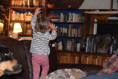 Josie and Daddy Are Wild and Crazy