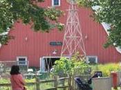 POEM: Mythical Child Corn