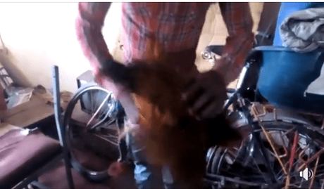 Man Caught After Concealing Stolen Live Chicken In His Trouser (Photos/Video)