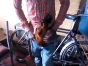 Caught After Concealing Stolen Live Chicken Trouser (Photos/Video)