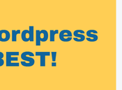 WordPress Best Platform Types Business Owners?