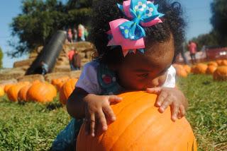 Image: Pumpkin Patch Baby, by Jazmin Sambula on Pixabay