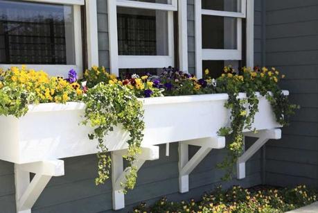 5 Affordable Ways to Maximize Your Home's Curb Appeal