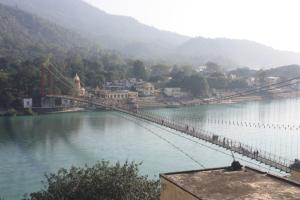 POEM: The Patience of a Rishikesh Cow