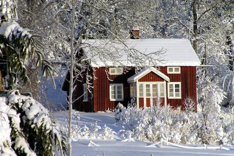 Practical Building Designs for Winter