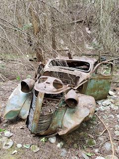 Old car rotting in the woods reference photos