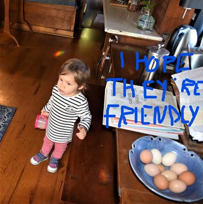 Rainbows and Flowers and Josie