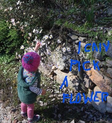 Rainbows and Flowers and Josie