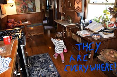 Rainbows and Flowers and Josie