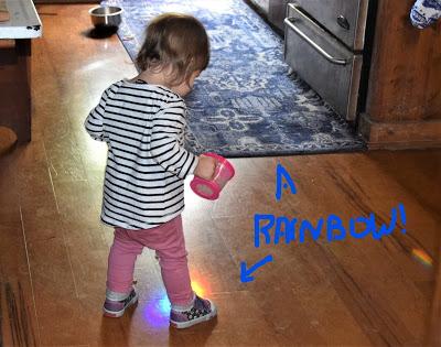 Rainbows and Flowers and Josie