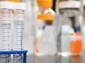 Effective Workplace Drug Tests?