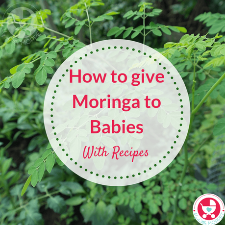 Drumstick or Moringa leaves are known for their health benefits. Find out all about how to give moringa leaves to babies, along with recipes to try.