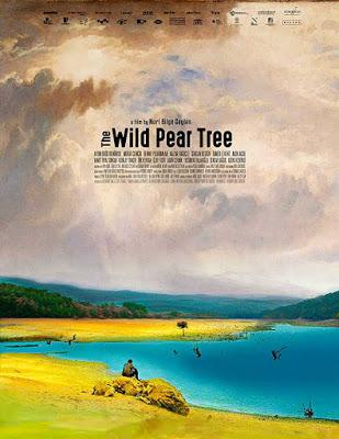 228. Turkish director Nuri Bilge Ceylan’s film “Ahlat agaci” (The Wild Pear Tree) (2018) (Turkey):  A slow-paced, contemplative stunner, yet another Ceylan tale of an adult male member within a traditional family, touching on several contemporary probl...