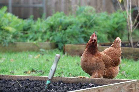 Sowing in the Wind