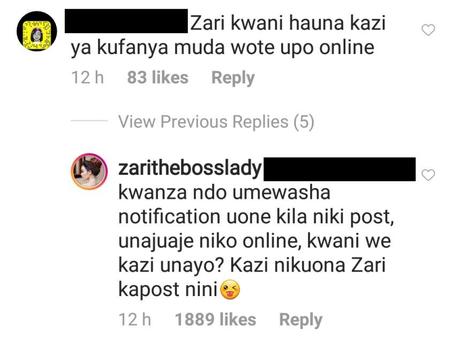 Zari Hassan fires back at fan who claimed she’s always idle