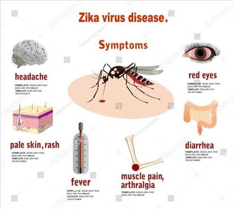 All you need to know about Zika Virus