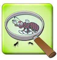 Best Magnifying glass apps Android 