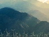 Science Upcoming Elections, State