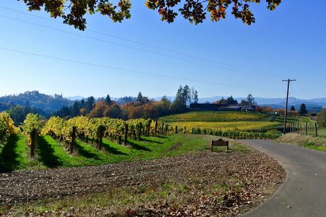 autumn in portland