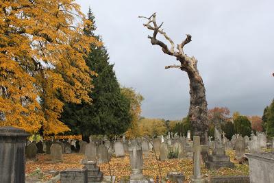 The Monday Photoblog… London In Autumn The Monday Photoblog… London In Autumn